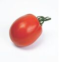 Seminte tomate Missouri 10 gr