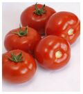 Seminte tomate Alamina F1 100 seminte