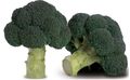 Seminte broccoli Larson F1 2500 seminte