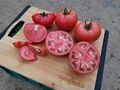 Seminte de tomate roz Manekro F1 500 seminte