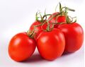 Seminte tomate Lissete F1 500 seminte