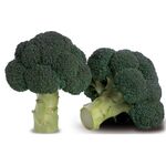 Seminte broccoli Larson F1 1000 seminte