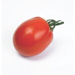 Seminte tomate Missouri 10 gr