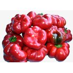 Seminte ardei gogosar Cornel imbunatatit 10 gr