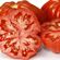 Seminte tomate Rugantino F1 100 seminte