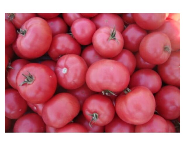 Seminte tomate Esmira F1 100 seminte
