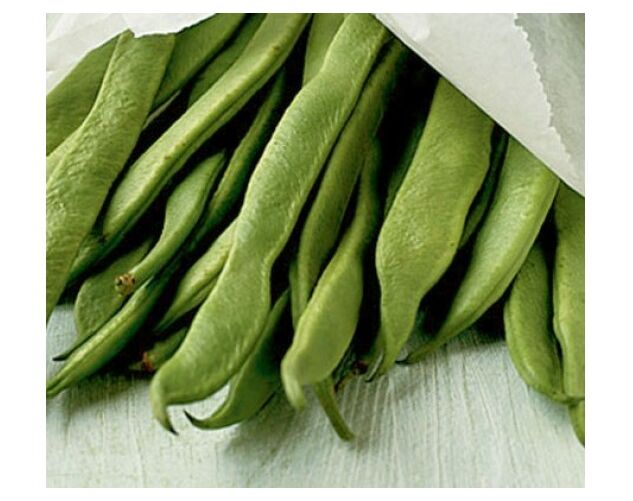 Seminte fasole verde lata urcatoare verde Emergo 100 gr