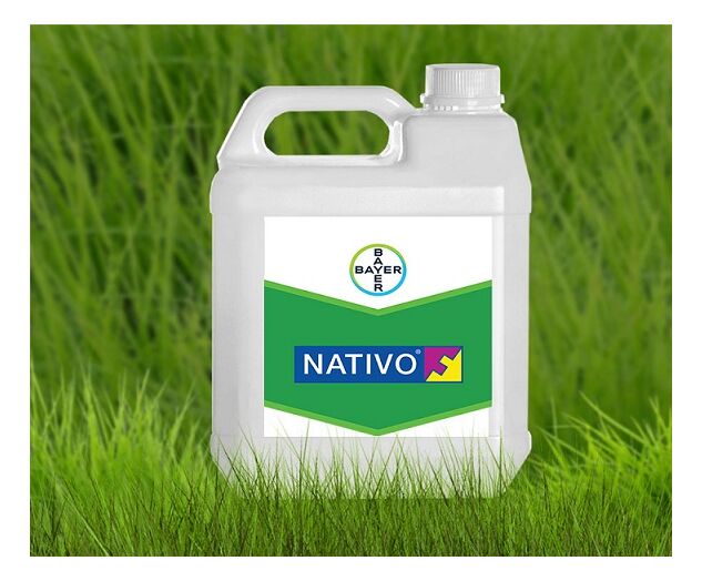 Fungicid grau orz Nativo 300 sc 5 l