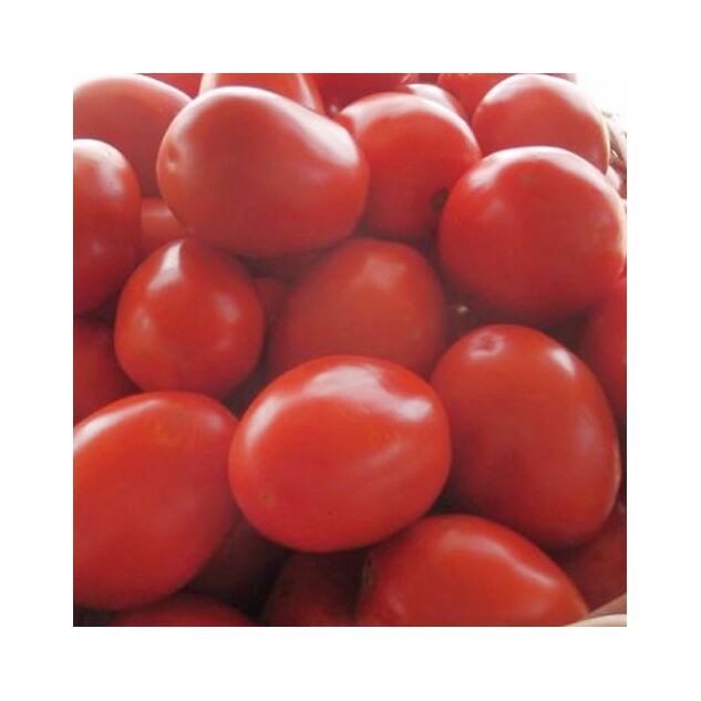 Seminte tomate Chelse F1 1000 seminte