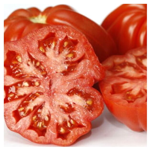 Seminte tomate Rugantino F1 100 seminte