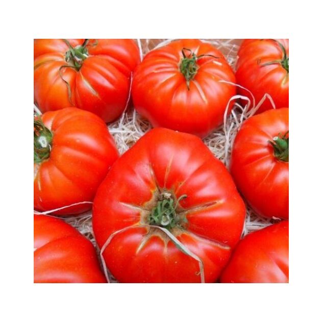 Seminte tomate Marmande 1 gr