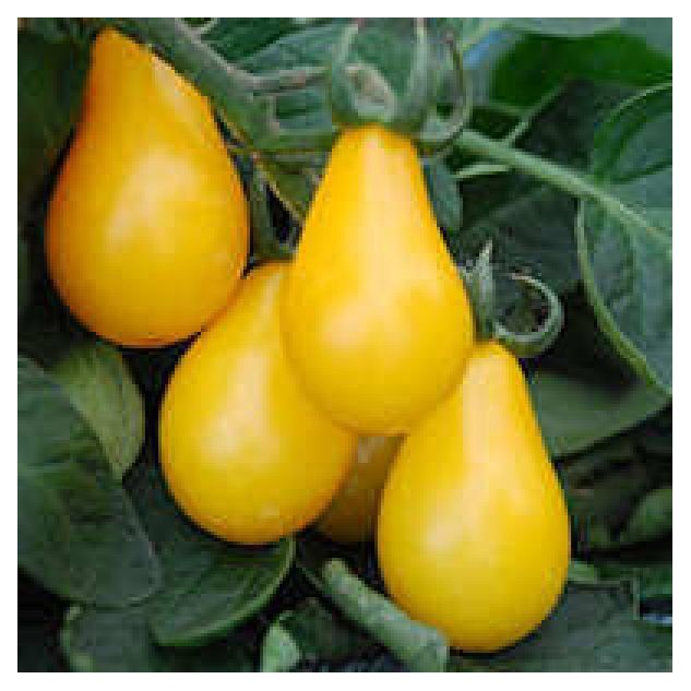 Tomate Yellow Pearshaped 0.5 GR