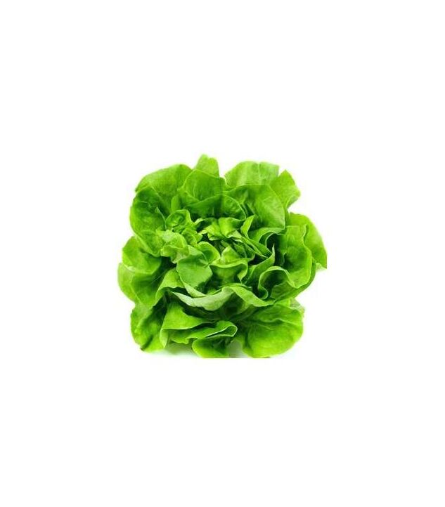 Seminte salata capatana Sprinter 5 gr