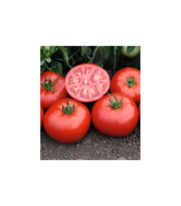 Seminte tomate Tomsk F1 1000 seminte