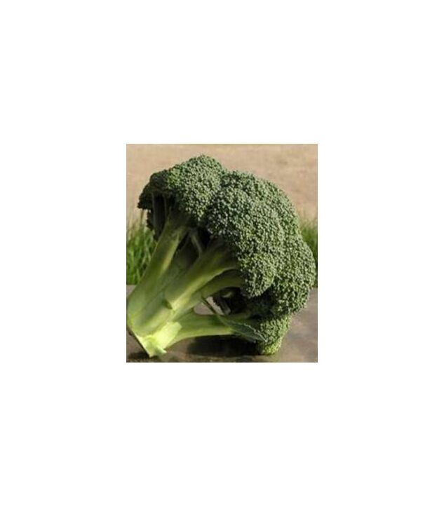 Seminte de broccoli Ironman F1 1000 seminte