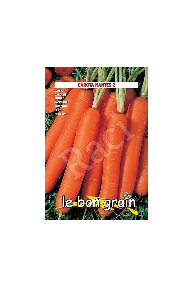 Seminte morcov Lunga di Nantes 100 gr