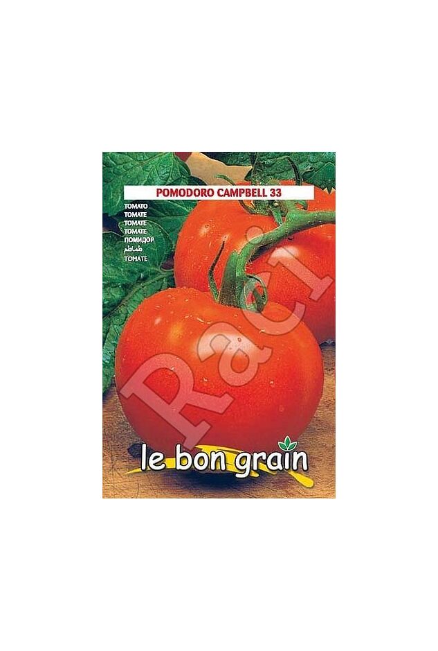 Seminte tomate Campbell 33 100 gr